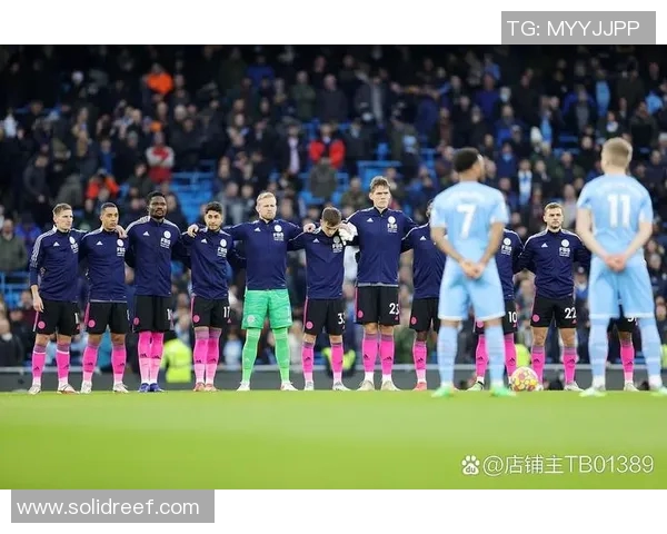 2018至2019赛季纽卡斯尔联对阵切尔西精彩回顾与分析