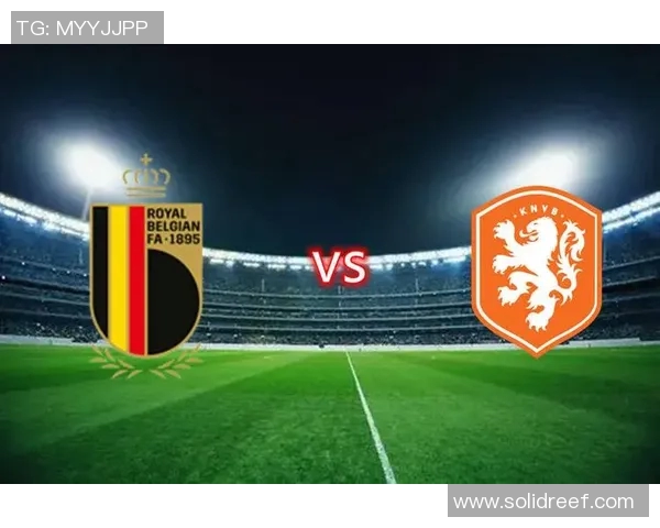 2018年比利时与荷兰足球对决回顾及精彩瞬间分析