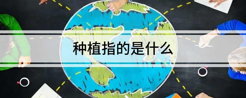 多米体育平台种植指的是什么(图1)