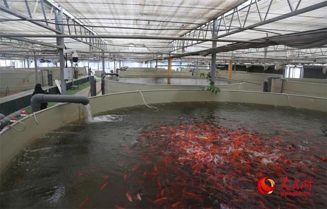 多米体育网址繁荣兵团·新时代新征程丨新疆五家渠：给农业生产装上“数字大脑”(图5)