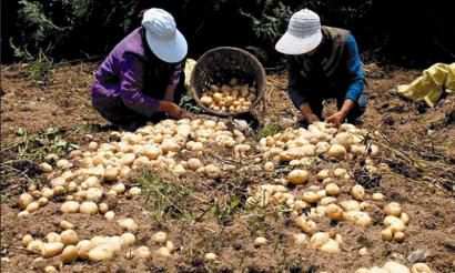 多米体育网址种牙需谨慎低价种植牙“集采价”可能是陷阱