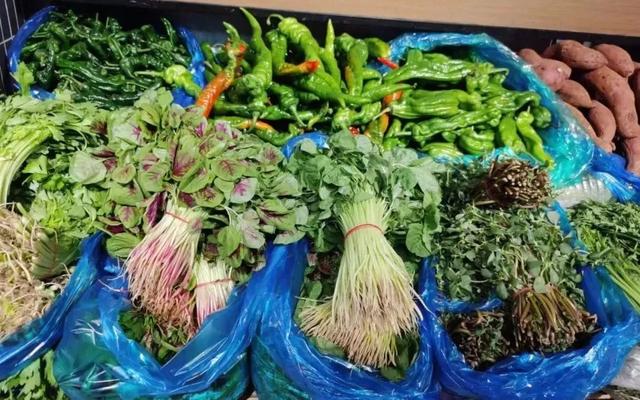 多米体育网址到2027年蔬菜总产超过808万吨德州出台方案推进蔬菜产业高质量发展