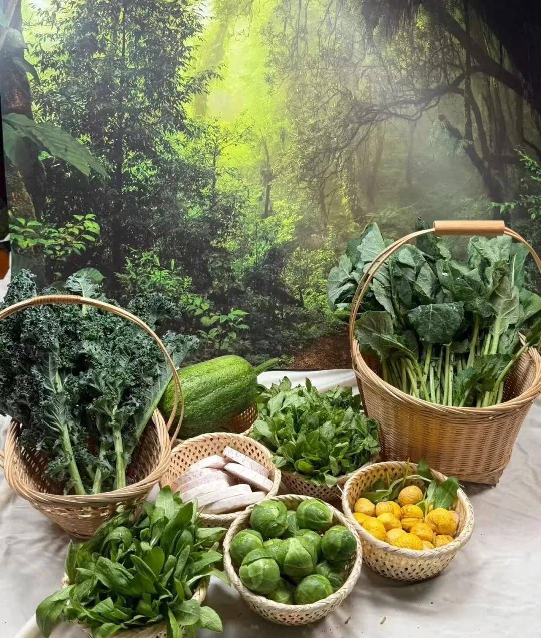 蔬菜也能火成网红单品“板蓝根青菜”到底有何魅力？(图4)