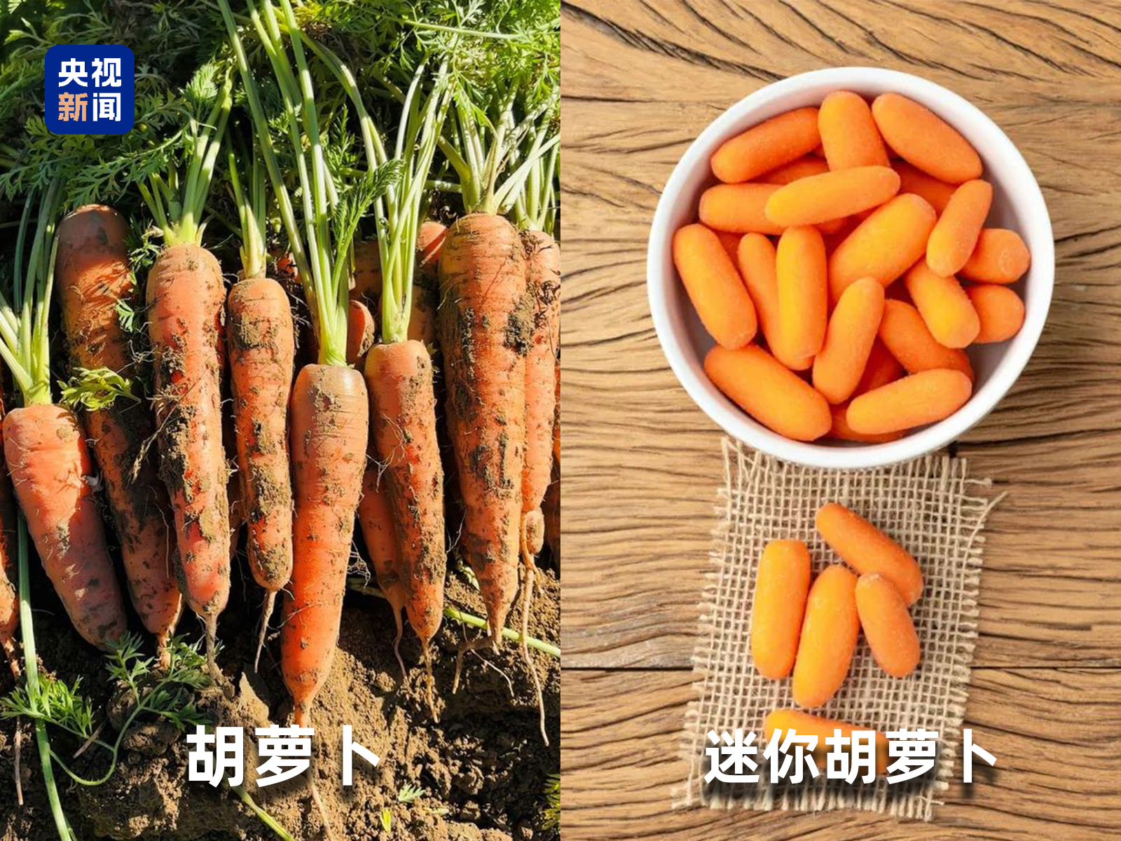 起底“水果骗局”这些“智商税”水果要知道→(图7)