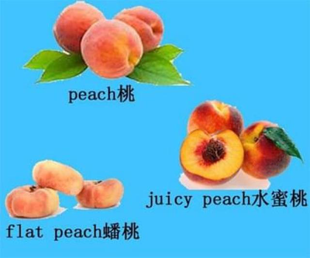 多米体育APP牢记水果类英语单词的方法(图2)