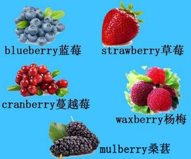 多米体育APP牢记水果类英语单词的方法(图3)