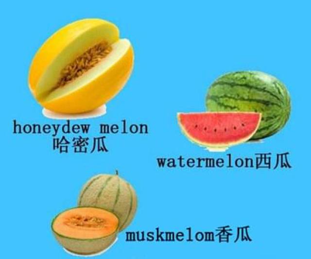 多米体育APP牢记水果类英语单词的方法(图4)