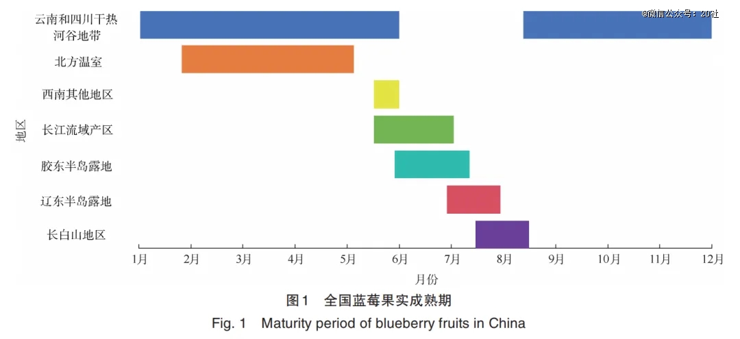 多米体育APP蓝莓才是中国的天选超级水果(图3)