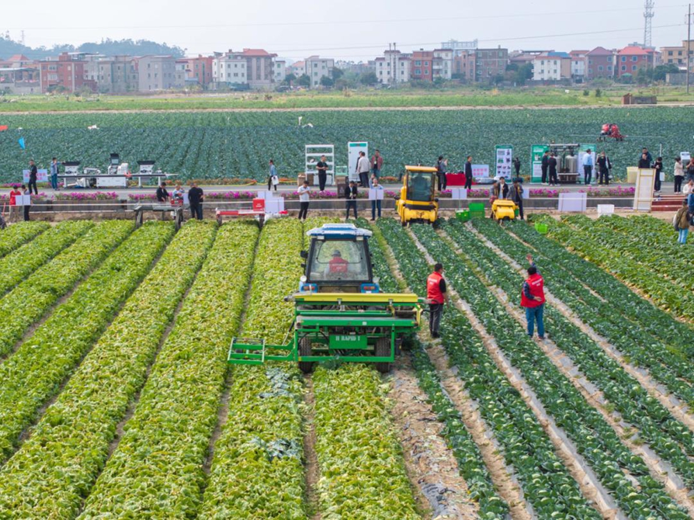 全國露地蔬菜生産全程機械化技術裝備培訓班在福建惠安舉行(图2)