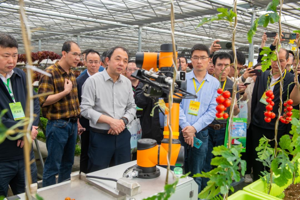 全國露地蔬菜生産全程機械化技術裝備培訓班在福建惠安舉行(图4)