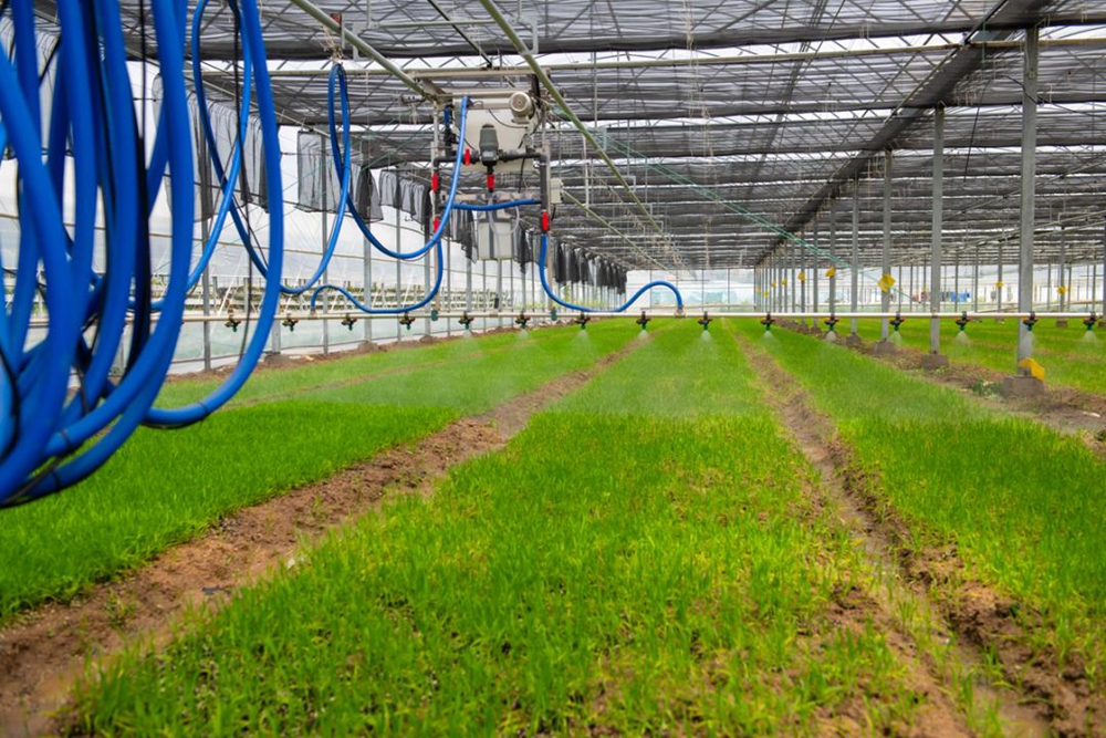 全國露地蔬菜生産全程機械化技術裝備培訓班在福建惠安舉行(图5)