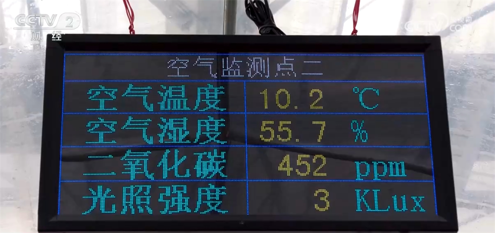时令蔬果“抢鲜”上市丰富百姓餐桌 “数”“智”联动带来高收益(图7)