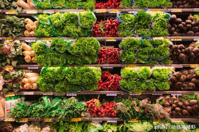 今多米体育平台日水素：低碳生活蔬菜选择有讲究(图1)