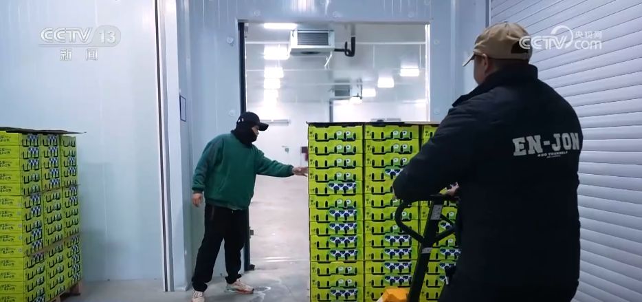 水果多米体育网址刺客→亲民爆款 科技为百姓“果盘子”注入“鲜”力量(图11)