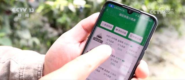 水果刺客 亲民爆款 科技为百姓“果盘子”注入“鲜”力量(图7)