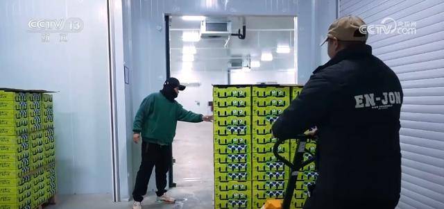 水果刺客 亲民爆款 科技为百姓“果盘子”注入“鲜”力量(图11)