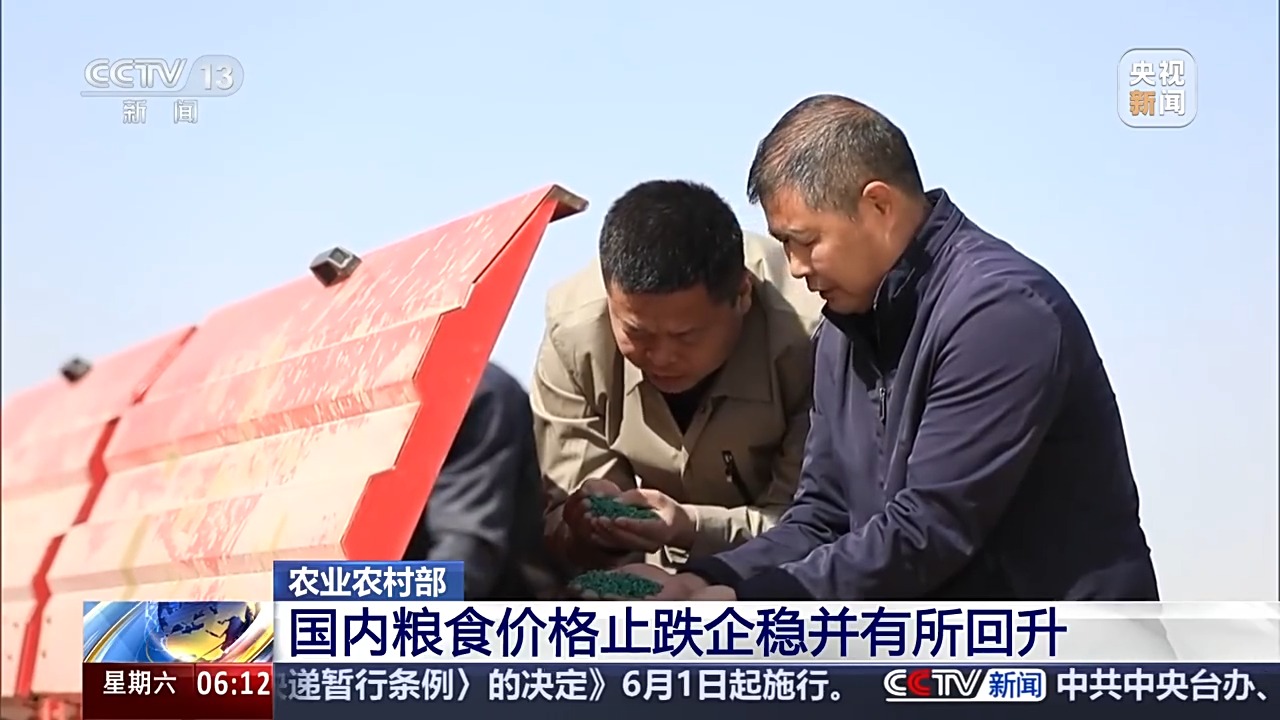 粮食意向种植面积约179多米体育下载亿亩 全国春播进度条更新→(图6)