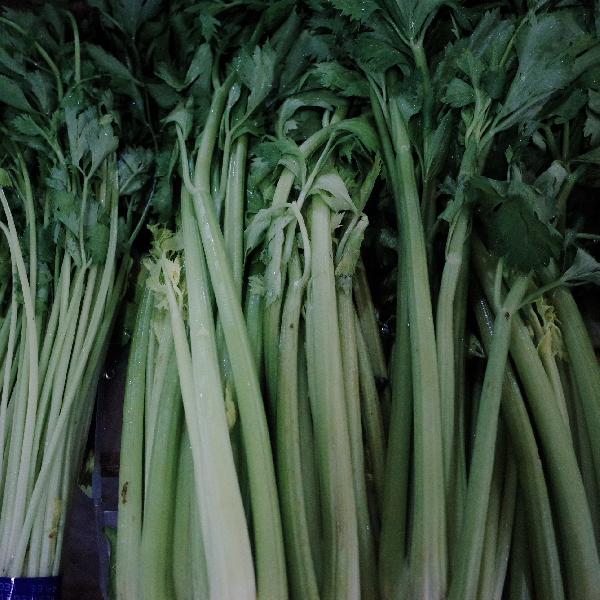 常见的蔬菜种类有哪些营养(图3)