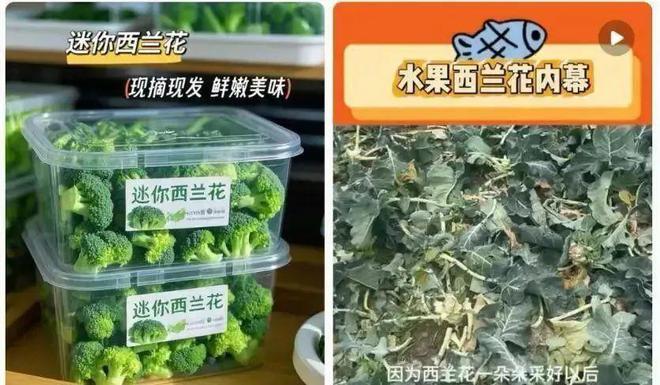 水果也塌了央视曝光7大“水果骗局”越看越害怕别再踩坑了(图3)