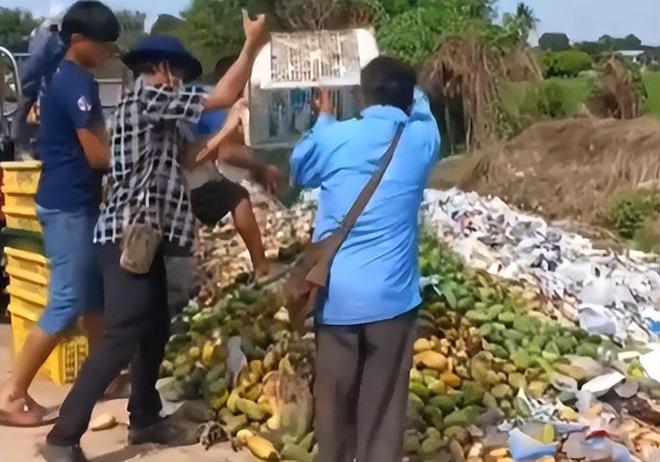 泰国大量水果腐烂因为摊上的一句中文中国游客：自己留着吧(图17)