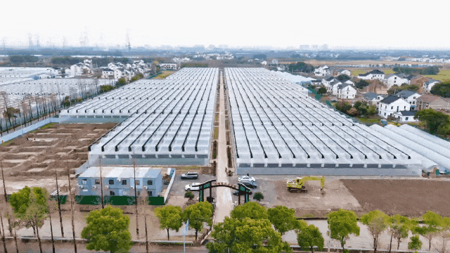 提升蔬菜生产效率与质量重固镇持续推进高标准设施菜田项目(图4)