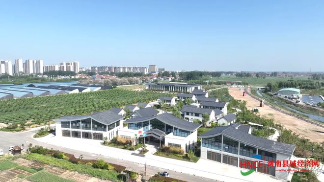 睢县农信社：金融多米体育下载“活水”浇灌特色种植 赋能乡村振兴新图景(图1)