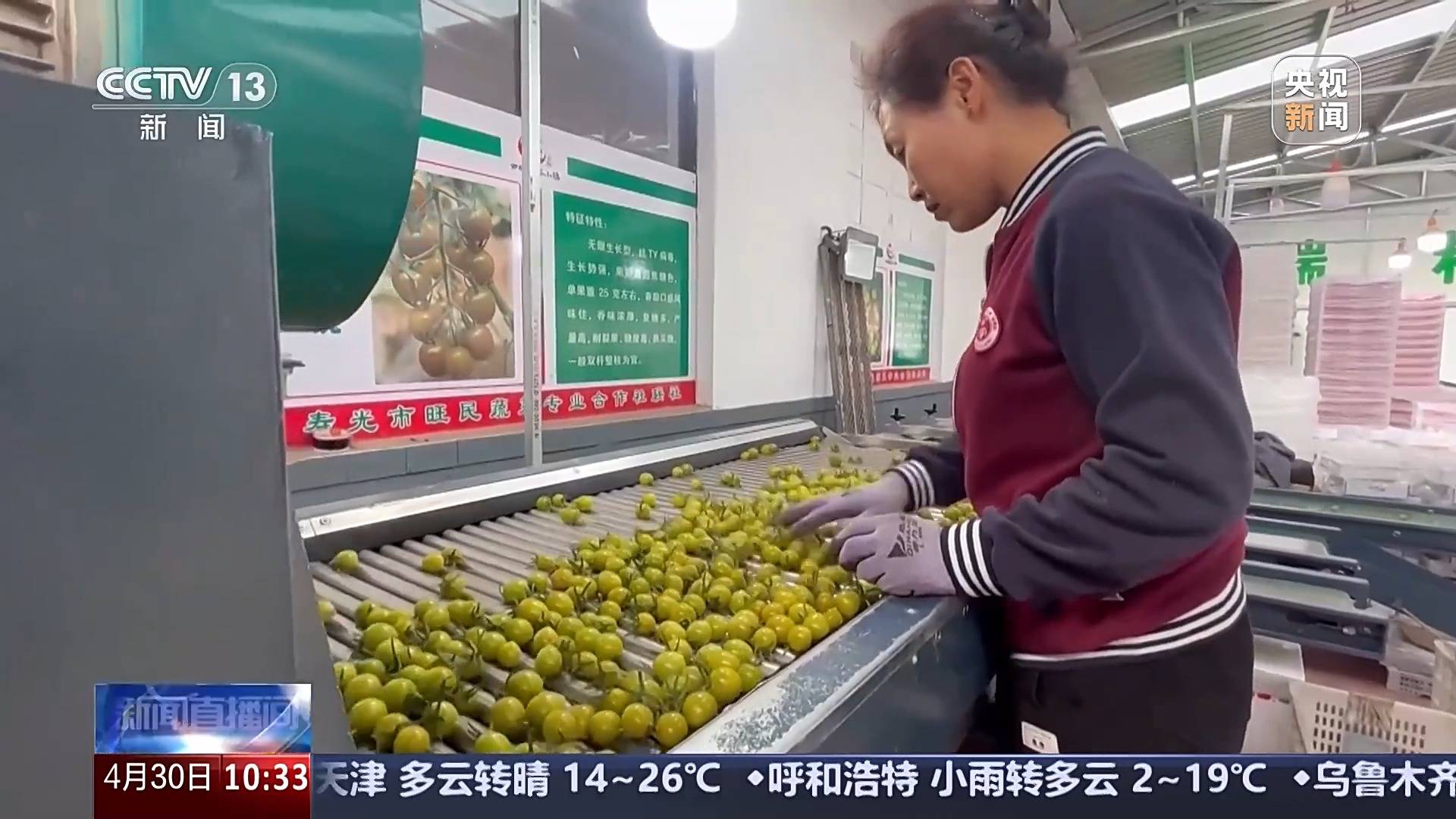 供应充足 品种丰富 价格稳定 五一假期“菜篮子”供应有保障(图2)